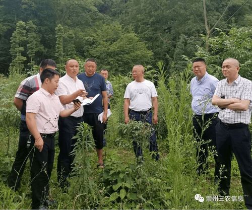 市政府召開研究解決新建生豬規(guī)模養(yǎng)殖場有關(guān)問題的會議