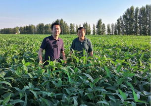 首農(nóng)集團(tuán)京蒙扶貧協(xié)作出實招