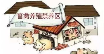重磅消息 欽州首次劃定畜禽禁養區,在哪些地方你知道嗎