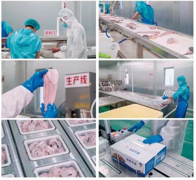 牛蛙飼料巨頭再啟新篇 年銷破10萬噸后，戰略布局原料銷售市場