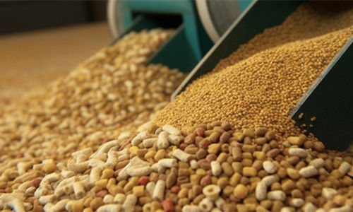 2024年豬飼料行業市場現狀、發展格局與原料銷售競爭趨勢展望