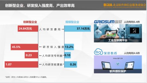 2021北京軟件企業(yè)核心競(jìng)爭(zhēng)力評(píng)價(jià)報(bào)告發(fā)布 技術(shù)開(kāi)發(fā)引領(lǐng)產(chǎn)業(yè)新格局